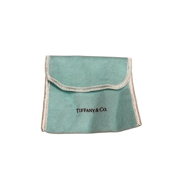 Tiffany & Co. Turquoise Pouch - Picture 1 of 4
